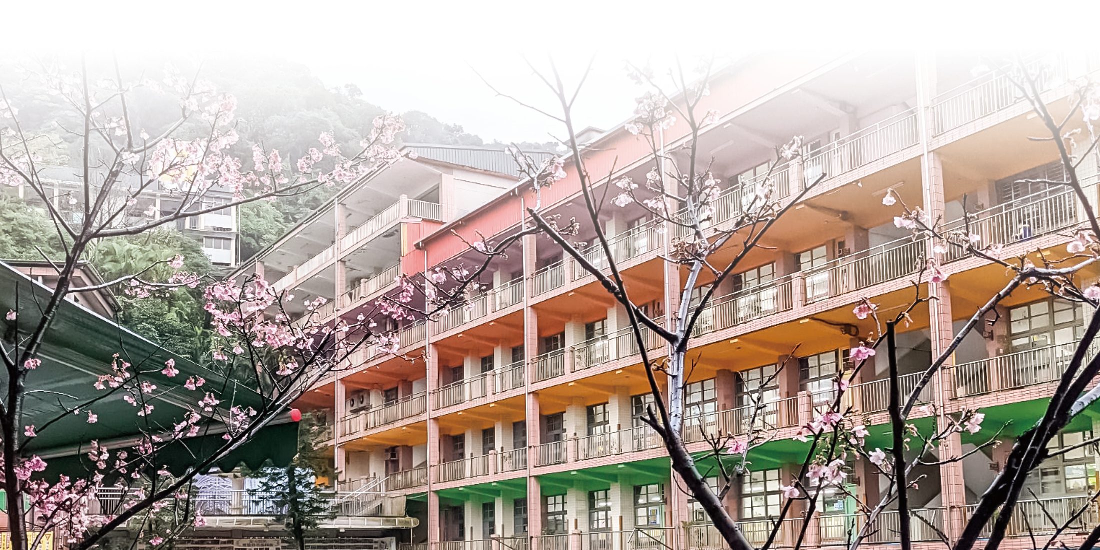 Spring blossoms in front of the school buildings at Fu Jen Sacred Heart